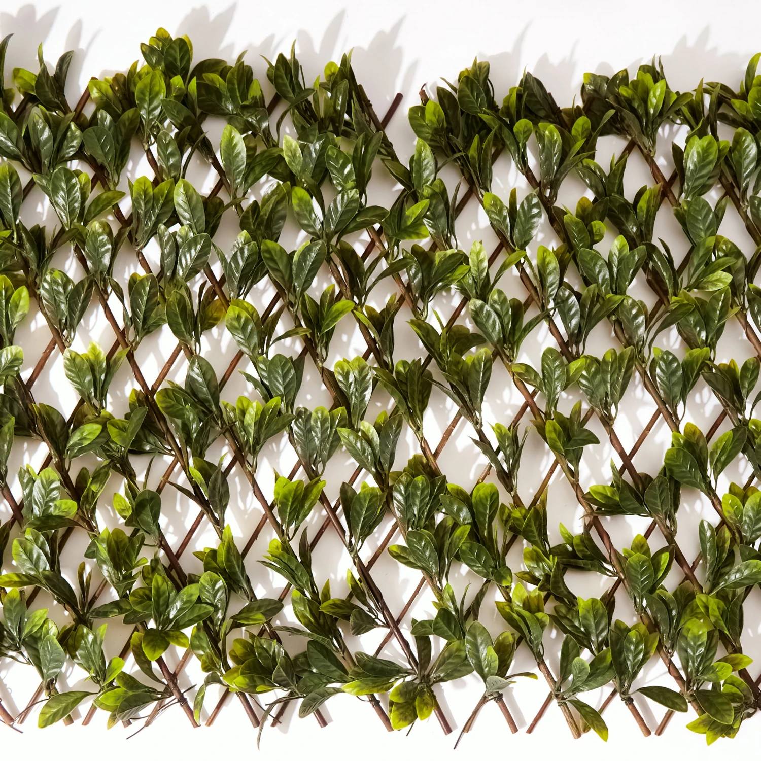 Outmore Lemon Leaf Expanding Trellis 1 Outmore Lemon Leaf Expanding Trellis