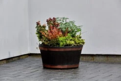 Strata Oakwood Barrel Planter 50cm