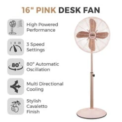 Home Furnishings Store -Home Furnishings Store T643000P 02 9874c98e 4d9f 4d90 941c e9b66cd9fa22