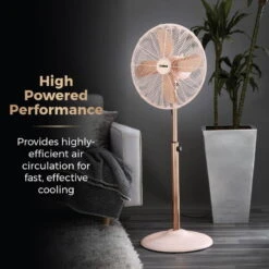 Tower Cavaletto 16 Inch Pedestal Fan -Home Furnishings Store T643000P 03 6ec2a4bd 8ec4 4f0c ae20 af2a156e6ef6